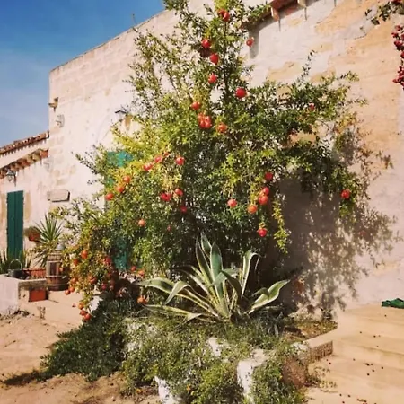Landhaus Agri Experience - Gentile Castelvetrano