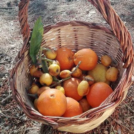 בית כפרי Agri Experience - Gentile