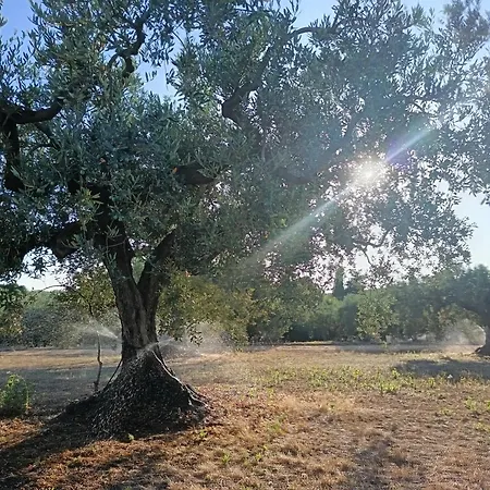Agri Experience - Gentile Country house Castelvetrano