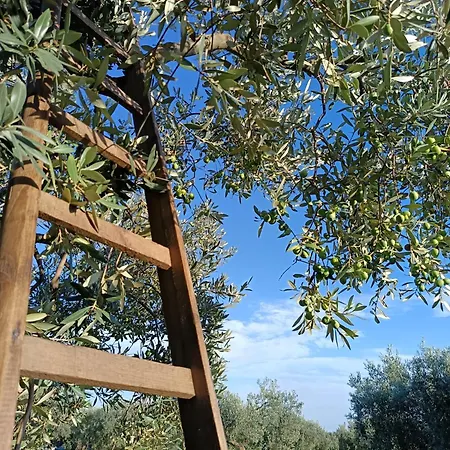 Agri Experience - Gentile Country house Castelvetrano